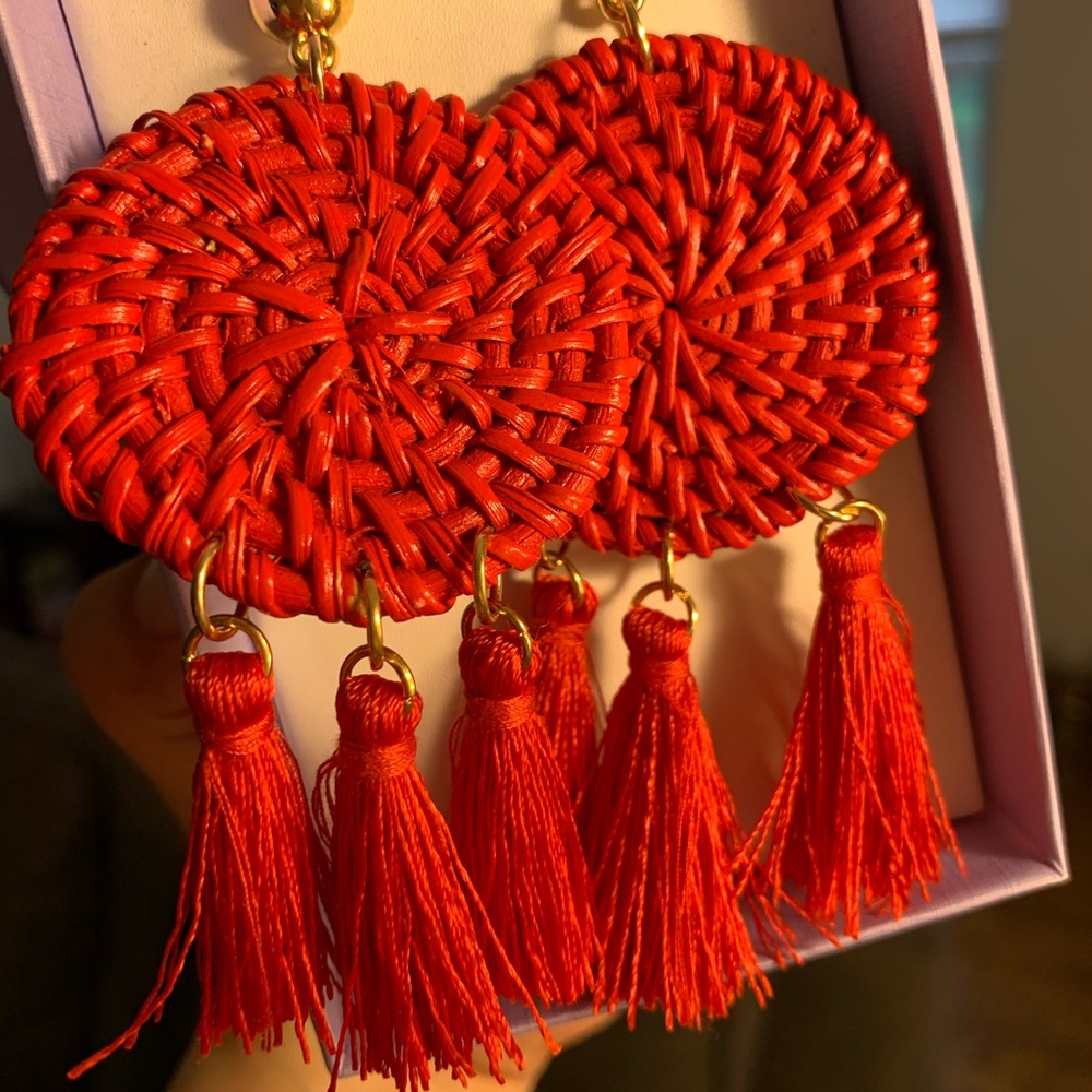 Trendy Fashion Earing